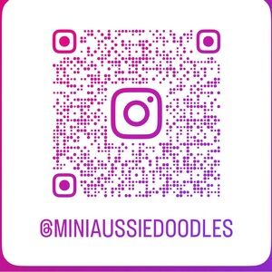 Follow Me on IG